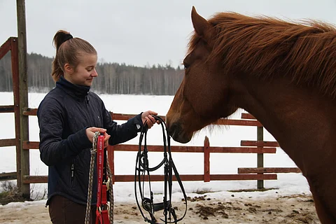 Haluaako hevonen suitset vai riimun?