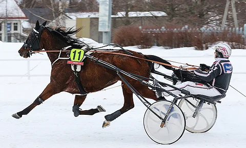 Tiina Koskisen valmentama ja Antti Teivaisen ohjastama Wide Game toimii ideasysteemin varmana. 7-vuotias Wide Game starttaa uransa 60. kilpailun ja mikäli rahasija tulee, nousee ruunan voittosumma yli 50 000 euron.