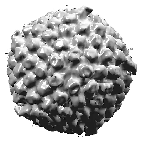 Granrothin KG Corazon testattiin EHV1-positiiviseksi Liettuassa - hevonen kunnossa