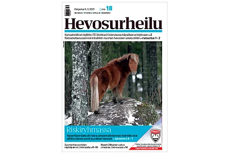 Kannen kuvituskuva: Leena Alérini.