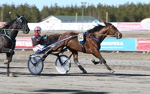 Callela Lincoln kierteli lauantain Toto75-voitossa tulokseen 14,2a/2100 metriä. Kuva: Kristiina Lapinkorpi.