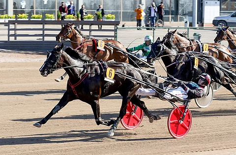 Dear Friendin 70 000 euron arvoinen tyylinäyte. Kuva: Anu Leppänen.