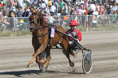 Pihlajan Aaroni ja Akseli Lahtinen. Kuva Juhani Länsiluoto.