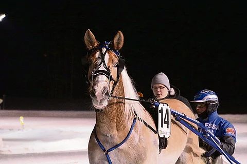 Lauri Hyvösellä oli helmikuussa 2019 mieluinen tehtävä haastatella Henri Bollströmiä Issakan Stigin voitosta.