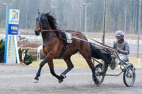 BWT Divine ja Olli Koivunen suuntaavat Jokimaan Best Ladyn jälkeen Seinäjoen avoimeen tammalähtöön. Kuva: Anu Leppänen