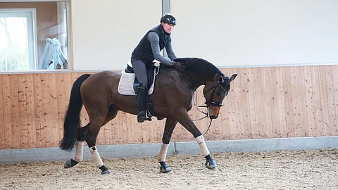 Kontestro-case edelleen alkutekijöissä.