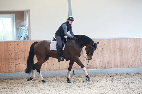 Matka Japaniin on alkanut.