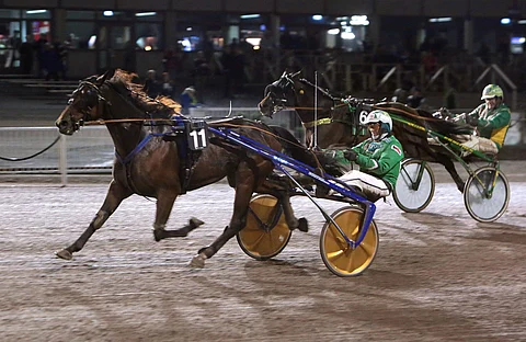 Reverend Dred tekee tasaisen hyvää työtä ja viihtyy totossa, mutta viimeisimmät voitot ovat syksyltä 2019 Vermosta.