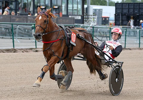 13-vuotias Vixen viipyi kahden viikon ajan klinikkahoidossa mystisen mahaoireilun vuoksi. Kilpakentät saavat odottaa tovin. Kuva: Anu Leppänen
