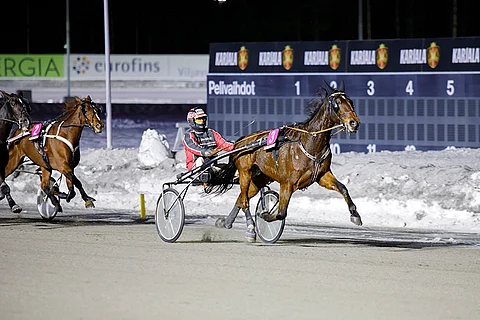 Wonder Of You metsästää lauantaina uransa ensimmäistä Toto75-voittoa Joensuussa.