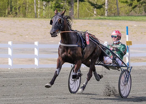 Hannu-Pekka Korven valmentaman Ava Di Emelinin rattailla on usein istunut Hannu Torvinen.