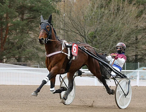Janita Antti-Roiko tähtäsi hienon alkukauden juosseella Believerillä derbykarsintoihin.
