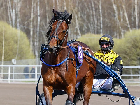 Callela Lincoln ei ollut oma itsensä viimeistelyissä, joten se jää pois lauantain 75-lähdöstä.