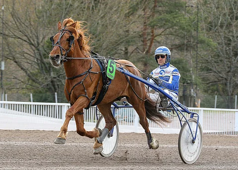 Katso video: Camri sai jo eläkejuhlat – ”Se on tämän alueen maskotti”