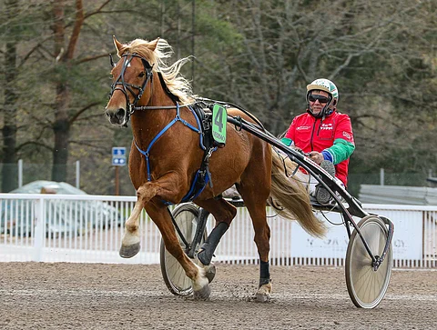 Enon Vilppi sai paikan kotiratansa Seinäjoen kuninkuuskilpailuun.