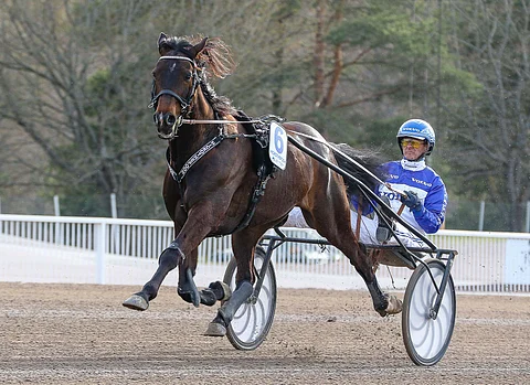 Hickothepooh nähdään seuraavaksi Jägersrossa. Kuva: Anu Leppänen