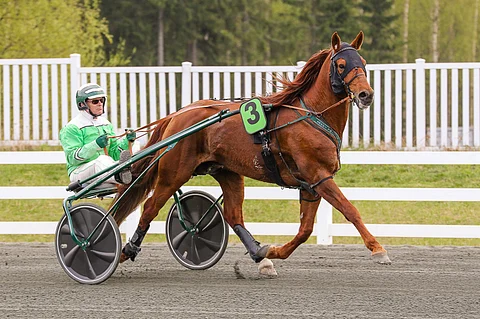 Pekka Luukkonen viimeistelee Lissun Eerikin kunnon Seinäjoen kuninkuuskilpaan Mikkelin Suurmestaruudessa.