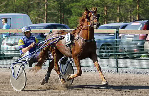 Viime kesänä Härmässä Lumettaja paineli toistaiseksi parhaan aikansa 24,1aly.