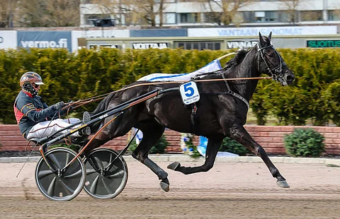 Milliondollarrhyme starttaa Ruotsin mestaruuteen ikävältä 8. radalta rattaillaan Ulf Ohlsson. Finlandia-ajossa valmentaja Fredrik B Larsson ajoi ruunaa itse.