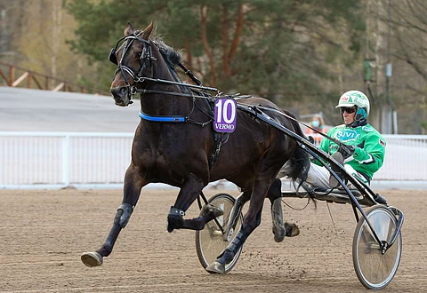 Moniman on loistoasemista järkevä Toto65-ideavarma.