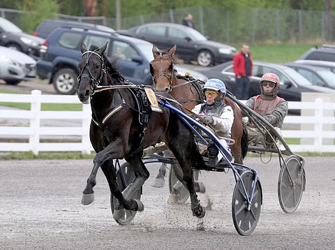 Viime vuoden Number Onessa MAS Champin kupeeltaan karistanut Run For Royalty avaa kautensa keskiviikkona.