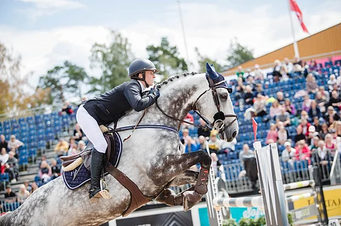 EHV-1 -karanteenissa vai ei? KG Corazon odottaa sipoolaislaitumella lisäohjeita.