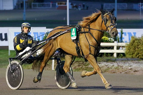 Sunnuntaina kotiradallaan Jyväskylän Killerillä voittanut Vauhti Teppo oli nelivuotiaana mukana kriteriumfinaalissa Tero Lahtisen ohjastamana. Arkistokuva: Anu Leppänen