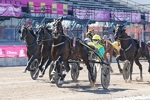 Vivid Wise As pääsee lähtemään finaaliin ykkösradalta. Kuva: Anu Leppänen
