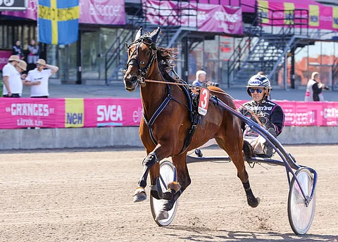 Alien Hillin vahva kuolemanpaikkajuoksu Elitloppet-lauantaina pilaantui loppusuoran laukkaan.