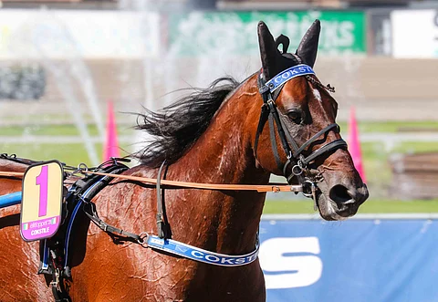 Cokstile sai Kalmarsundpokaleniin saman ykkösradan kuin Elitloppetin karsintaan, josta selvitti tiensä finaaliin. Rattaille hyppää nyt Jorma Kontio.