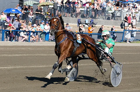 Don WIlliamsilla on edessä Markku Niemisen arvion mukaan parin kuukauden sairasloma.
