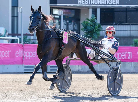 Kuvan Gareth Bokon Elitloppetissa kolmanneksi ohjastanut Mats E Djuse jatkaa Gogobet Sisun rattailla Östersundissa.