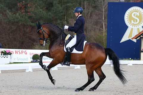 Henri Ruoste ja Kontestro DB edustavat Suomea kouluratsastuksessa Tokion olympialaisissa.