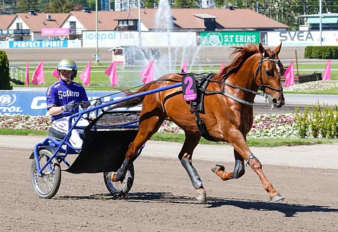 Moni Viking ja Björn Goop.