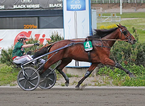 Nemea Katon tyylinäyte perjantai-iltana.
