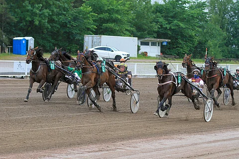 Believer vastasi urheasti ulkopuolen hevosille.