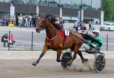 Willow Pride antoi positiivisen lääkeainenäytteen Kuopiossa 15.5. ja negatiivisen Jyväskylässä 12.6., josta kuva. Kuva:Anu Leppänen