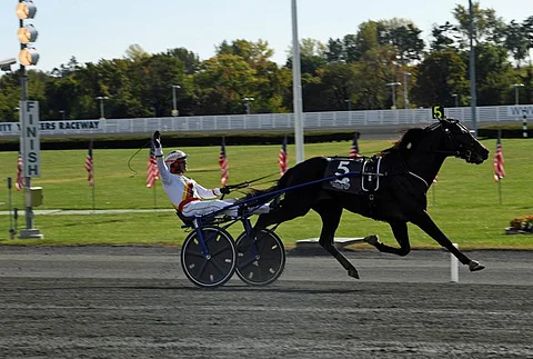 Zacon Gio. Kuva: Gerard Forni