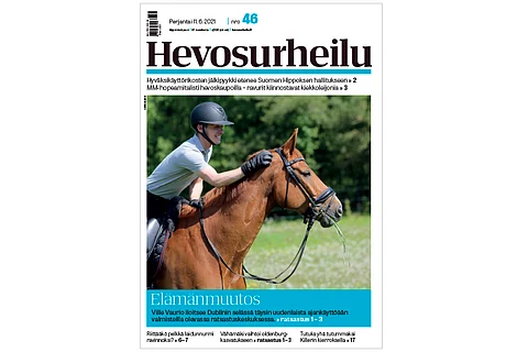 Ville Vaurio ja Dublin. Kannen kuva: Leena Alerini.