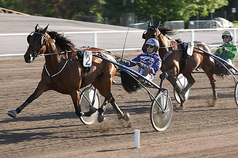 Olli Koivusen ajama Meet Me In Shade avasi sekä lopetti muita terävämmin.