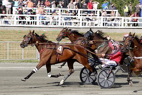 Anything For You tsemppasi hienosti voittoon lauantain päälähdössä.