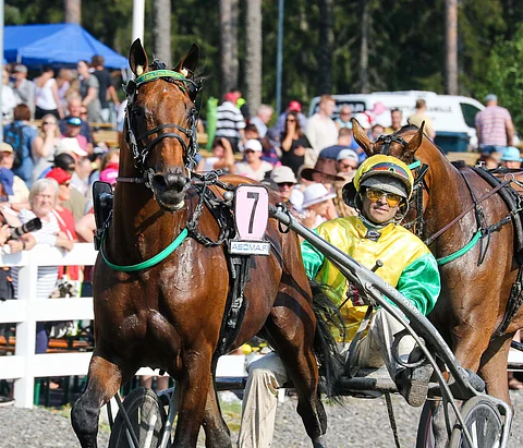 Mikkelin valloittaja Face Time Bourbon nähdään Napolissa. Kuva: Anu Leppänen