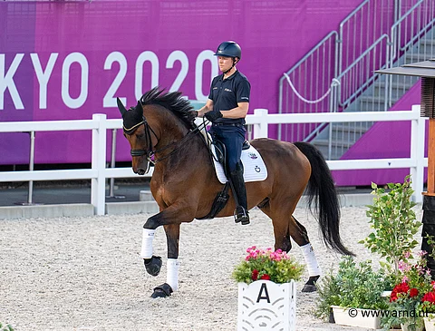 Henri Ruoste ja Kontestro aloittavat olympiaurakkansa viikonloppuna.