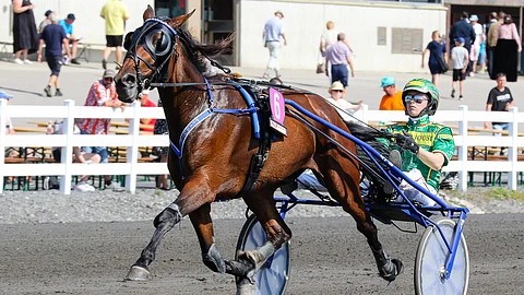 Peanuts kilpaili urallaan 47 kertaa totosijoin 18-9-8. Ennätykseksi jäi osaomistaja Antti Pihlströmin viime keväänä ajama 11,4.