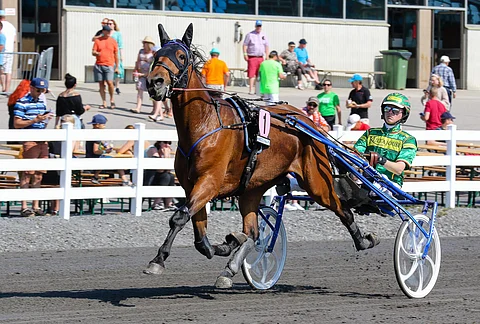 Speedy Scion on Hevosurheilun ideasysteemin yksi kolmesta näkemyksestä. Kuva: Anu Leppänen