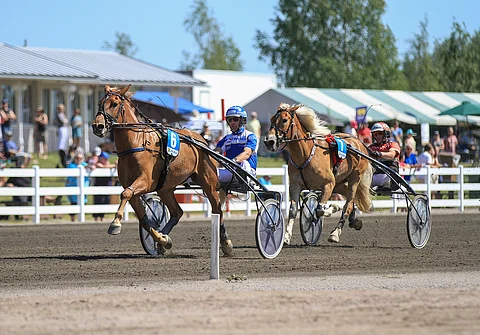 Lahdessa ihastuttanut Ciiran Tähti pyrkii antamaan näyttöjä kuninkuusraveihin seuraavaksi Vermossa. Kuva: Roosa Lindholm