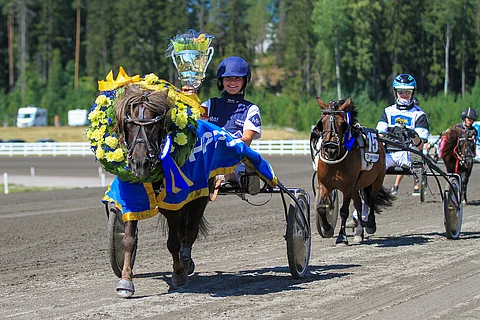 Thorvald ja Euforia tavoittelevat seppeleitä Vermon ponikuninkuusraveissa.