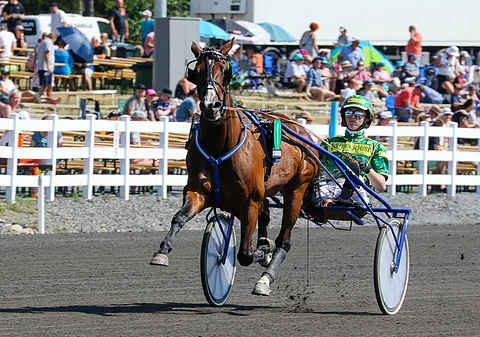 Tito C.A.on Kari Lähdekorven mieleinen ravuri. ”Meno on sille kauhean helppoa, ja se pärjää parhaina päivinään hyvältä lähtöpaikalta täällä vaikka kenelle."