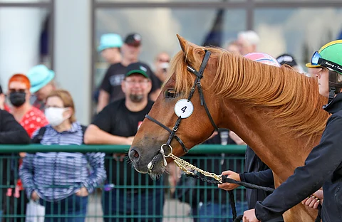 Petri Lahti-Luopa osti hienosti aloittaneen Tukkijätkän huutokaupasta.