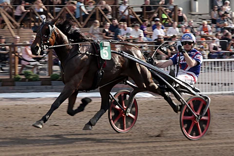 BWT Divine oli kirissään pitelemätön.